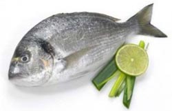 Recetas para adelgazar con pescados