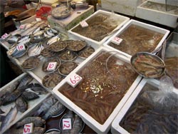 Platos de pescado